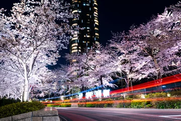 Foto op Plexiglas 東京ミッドタウン 桜ライトアップ2 © 亮 山本