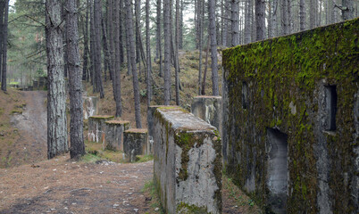 Hidden World War Two defence system in Lossiemouth Woods, Moray Scotland