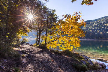 Beautiful and idyllic autumn scene with colorful trees from lake Leopoldsteinersee in Austria