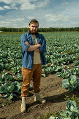 Full length portrait of frowning Caucasian agroengineer in hat standing with crossed arms on cabbage field and squinting because of sun