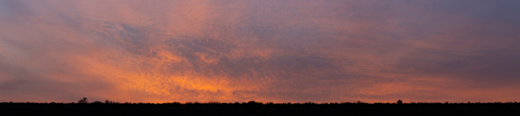 The evening sunset. Panorama. Purple clouds. Tragic gloomy sky.