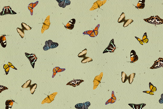 Collage Butterflies background paper texture. Vintage Butterfly Pattern.  Stock Illustration | Adobe Stock