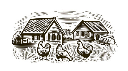 Chickens in village sketch. Rural landscape in vintage engraving style © ~ Bitter ~