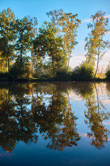 Reflecting Trees at a lakeshore in the woods in bright morning light. High quality photo