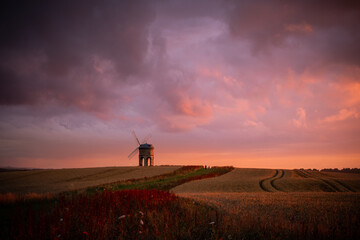 A landmark historic windmill sits on the horizon. Clouds turn pink and dusky purple from the sunset and, in the foreground, a path leads up through the crop fields.