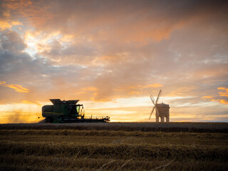 Fototapeta premium A working combine harvester silhouetted against a stunning sunset in the middle of a wheat field. In the distance is a historic windmill