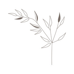 Boho hand drawn leaves