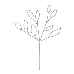 Boho hand drawn leaves