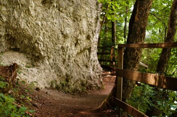 Fototapeta Szlak wiodący przez las i skałki obraz