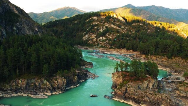 Altai Republic, Siberia, Russia. Landscape with autumn wildlife: huge mountains, stone shore, yellow trees with golden foliage, green turquoise river