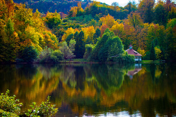 Vivid Reflection into Lake during the Autumn