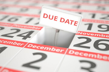 DUE DATE sign on November 25 in a calendar, 3d rendering