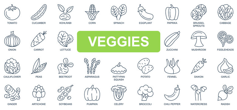 Veggies concept simple line icons set. Bundle of tomato, cucumber, spinach, eggplant, cabbage, onion, carrot, pumpkin, beetroot and other. Vector pack outline symbols for website or mobile app design