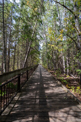 Fototapeta na wymiar Wooden boardwalk trail through the forest at Kakabeka Falls, Ontario, Canada