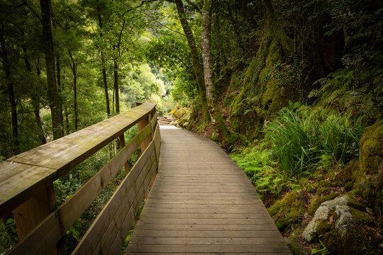 wooden walkways of Paiva river at Arouca Geopark, Municipality of Arouca, Aveiro District, Portugal