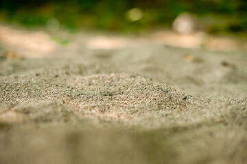 Gray calcareous sand on a green background is a narrow focus