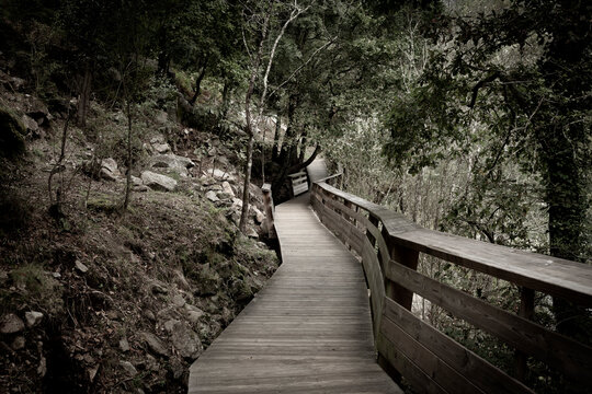 wooden walkways of Paiva river at Arouca Geopark, Municipality of Arouca, Aveiro District, Portugal