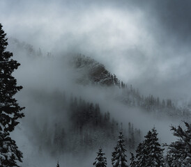 fog in the mountains