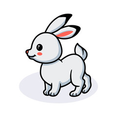 Fototapeta na wymiar Cute little white rabbit cartoon
