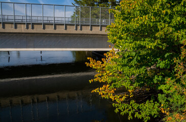 bridge over water and autumn leaves and trees