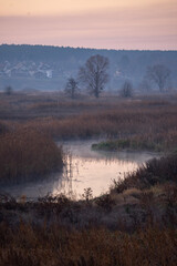 sunrise over the river