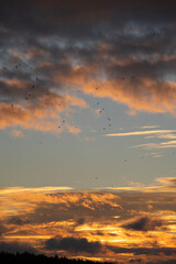 sunset in the sky