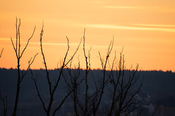 sunset over the river