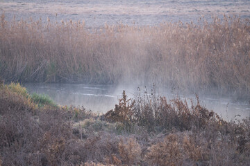 fog on the river