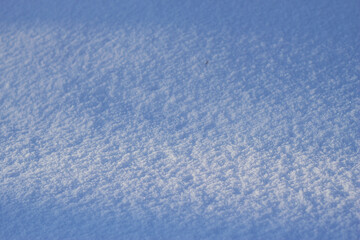 Obraz premium pure and textured snow surface with blue sky reflection in sunny winter day