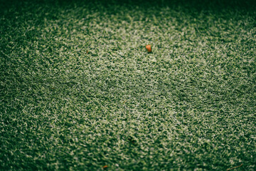 The artificial turf was taken with a clear face with a blurry background as a background,Green grass field on outdoors.