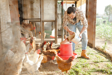 Smiling girl farmer feeding chicken from bucket with seed at farm © JackF