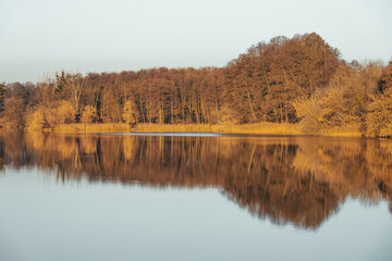 lake in autumn