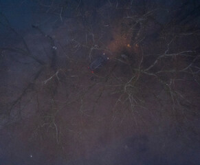 black and white background