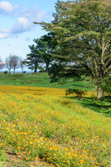 宮城　秋のやくらいガーデン
