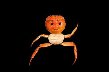 A puzzle of a man made out of a hairy crab shell
