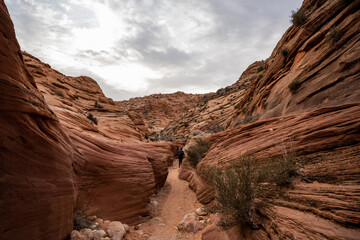 Hiker Heads Into The Beginning Of The Wire Pass Slot Canyon