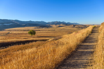Golden Trail - A golden Autumn evening view of North Table Loop Trail at a foothill valley. Denver-Golden-Arvada, Colorado, USA. 