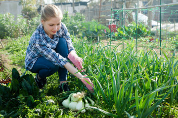 Portrait of teen girl gardener picking harvest of onion in sunny garden