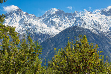 Obraz premium Beautiful Kinnaur Kailash Himalaya mountain range with apple trees in the foreground at Kalpa, Himachal Pradesh India 