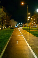 A summer park on the outskirts of a big city with bicycle paths and decorated lighting poles. A place of rest for many citizens. Night