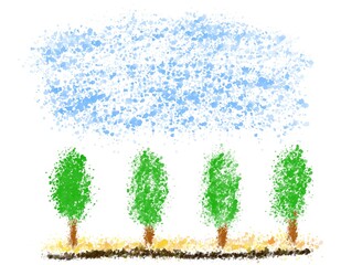 手描きの風景　空　木　広場　公園　自然　林