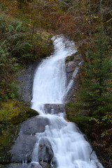 Sweet Creek Falls 11