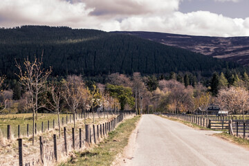 Fototapeta na wymiar Dirt road in Scotland