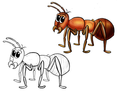 Ant cartoon line and color