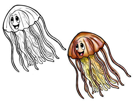 Jellyfish cartoon line and color