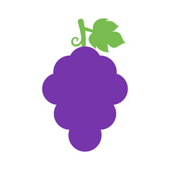 Vector Grapes Flat Illustration on White Background