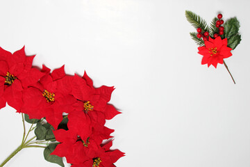 Fresh and natural red poinsettia flowers as frame for Christmas good wishes message on wooden table
