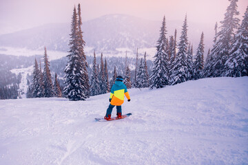 Snowboarder riding on slope with snowy forest, sheregesh ski resort sunset