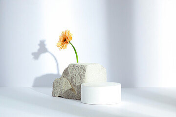 White circle podium and grey rock with a flower in a white background for advertising , front view ...