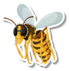 Honey bee insect cartoon sticker